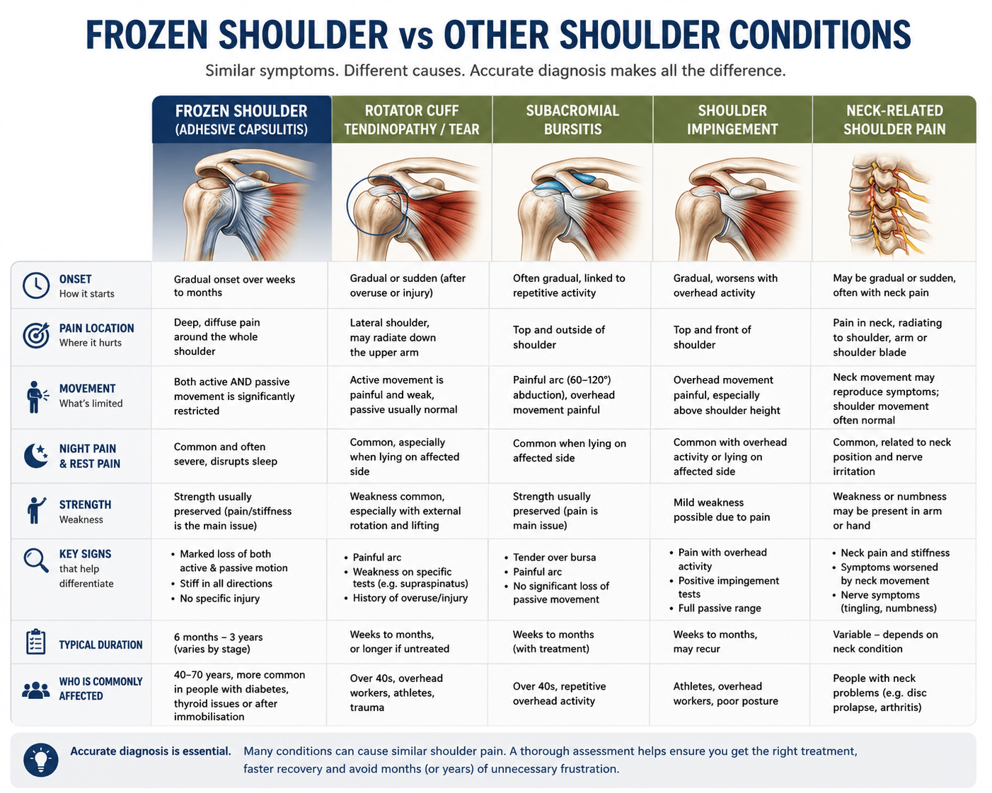 Frozen Shoulder vs Other Shoulder Conditions infographic comparing adhesive capsulitis, rotator cuff injuries, bursitis, shoulder impingement and neck-related shoulder pain, highlighting differences in symptoms, movement restriction, pain patterns and diagnosis.